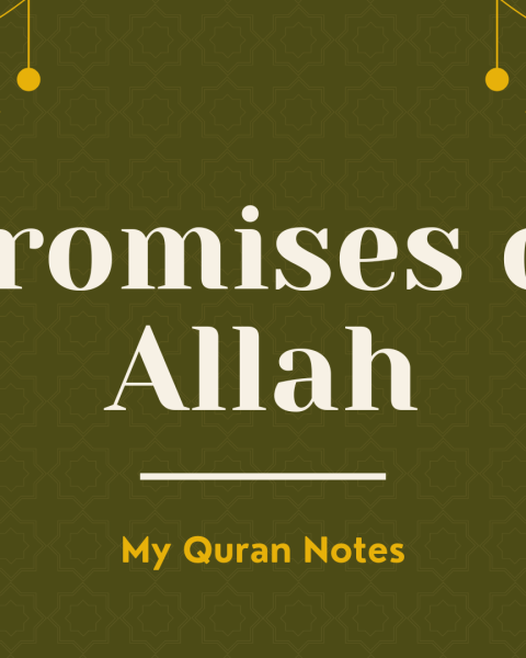 Allah's Promises in the Quran
