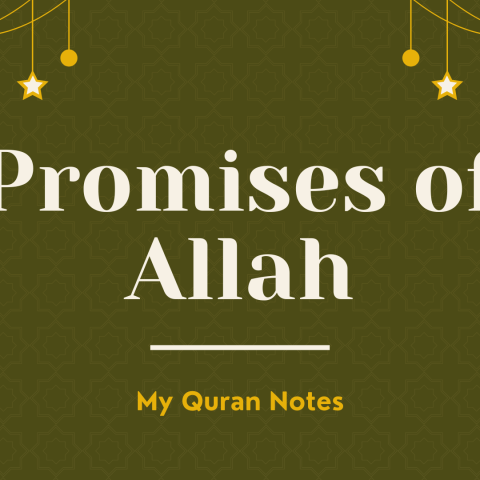 Allah's Promises in the Quran