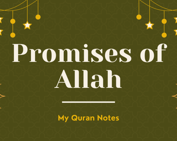 Allah's Promises in the Quran